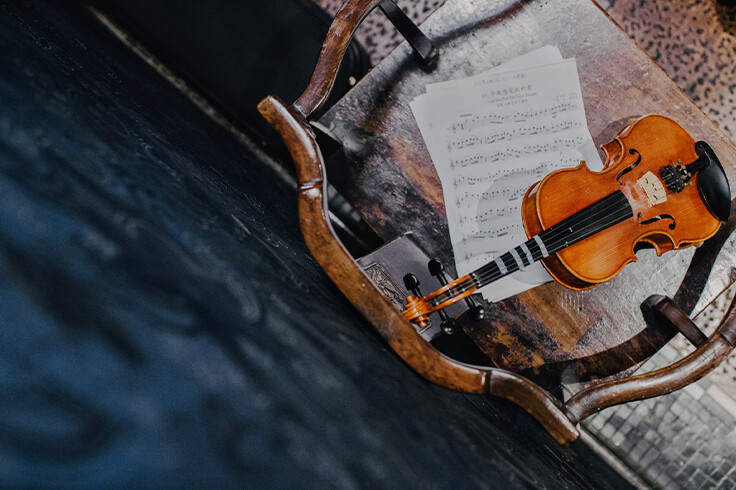 Things to Know Before Taking Violin as a Career Option