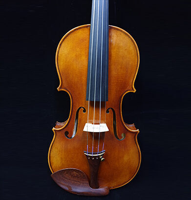 Stradivari Strings Violin Model 5 Thumb Image