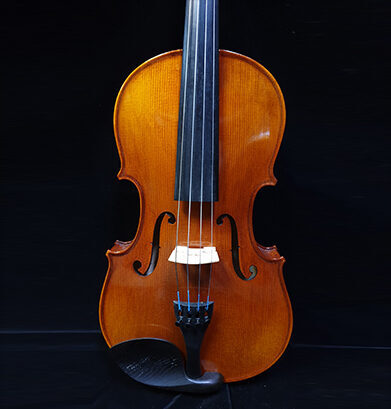 Stradivari Strings Viola Thumb Image