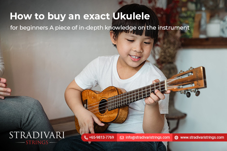 How to buy an exact ukulele for beginners